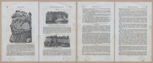 E342 - Elementary Geology - i11298-11300-11301-11302