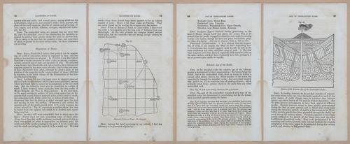 E342 - Elementary Geology - i11303-11304-11305-11306
