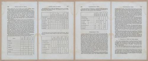E342 - Elementary Geology - i11327-11328-11329-11330