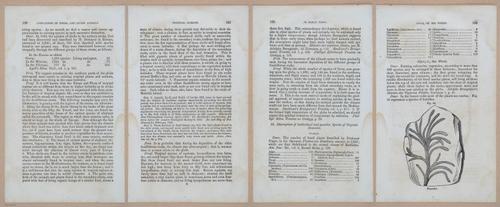 E342 - Elementary Geology - i11331-11332-11333-11334