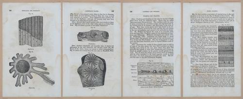 E342 - Elementary Geology - i11339-11340-11341-11342