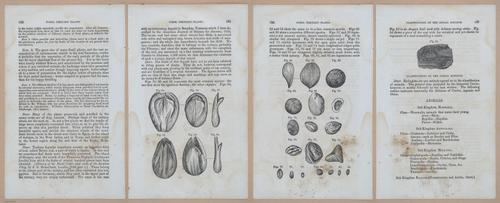 E342 - Elementary Geology - i11343-11344-11345-11346
