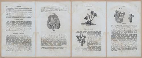 E342 - Elementary Geology - i11347-11348-11349-11350