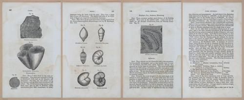 E342 - Elementary Geology - i11351-11352-11353-11363