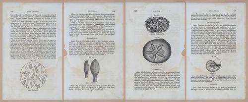 E342 - Elementary Geology - i11364-11365-11366-11367
