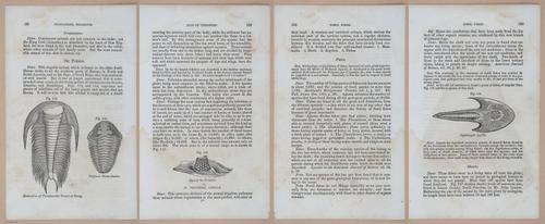 E342 - Elementary Geology - i11372-11373-11374-11375