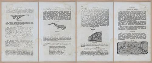 E342 - Elementary Geology - i11381-11382-11383-11384