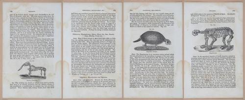 E342 - Elementary Geology - i11394-11395-11396-11397