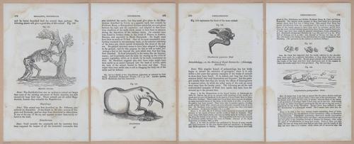 E342 - Elementary Geology - i11399-11400-11401-11402