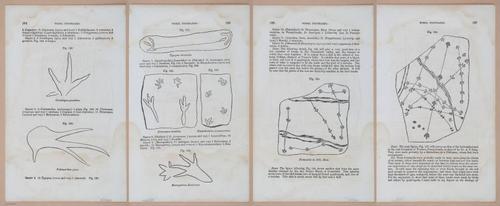 E342 - Elementary Geology - i11407-11408-11409-11410