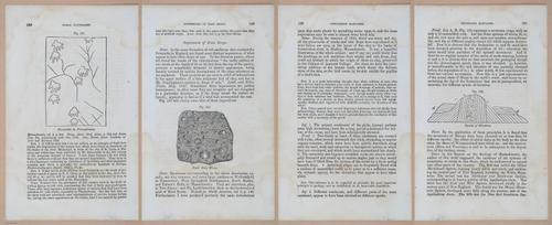 E342 - Elementary Geology - i11411-11412-11413-11414