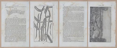 E342 - Elementary Geology - i11439-11440-11441-11442