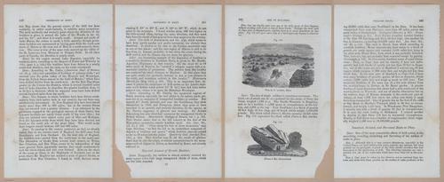 E342 - Elementary Geology - i11463-11464-11465-11466