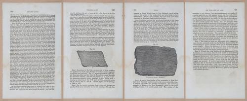 E342 - Elementary Geology - i11467-11468-11469-11471