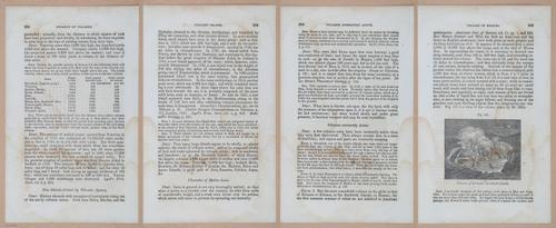 E342 - Elementary Geology - i11518-11519-11520-11521
