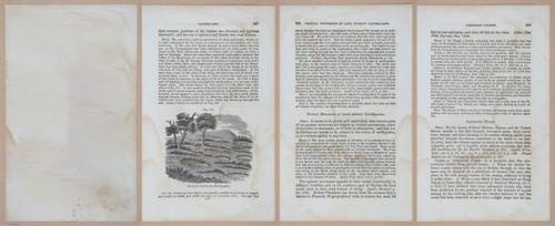 E342 - Elementary Geology - i11522-11523-11525