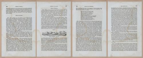 E342 - Elementary Geology - i11526-11527-11528-11529