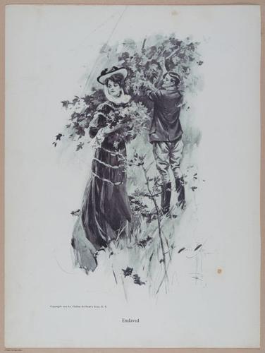 E344 - The Harrison Fisher Book 1907 - 11729