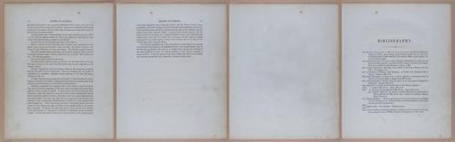 E345 - Illustrations of Syphilitic - i11825-11826-11827