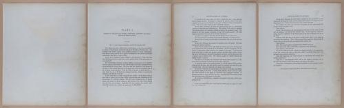 E345 - Illustrations of Syphilitic - i11856-11857-11858