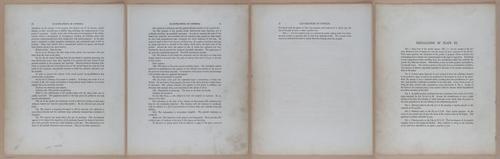 E345 - Illustrations of Syphilitic - i11866-11867-11868-11869