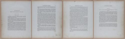 E345 - Illustrations of Syphilitic - i11878-11879-11880-11881