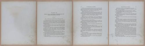 E345 - Illustrations of Syphilitic - i11904-11905-11906