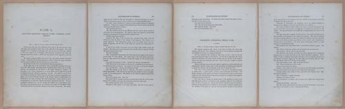 E345 - Illustrations of Syphilitic - i11922-11923-11924-11925