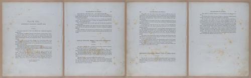 E345 - Illustrations of Syphilitic - i11937-11938-11939-11940
