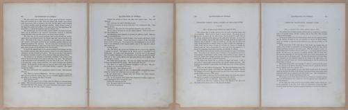 E345 - Illustrations of Syphilitic - i11957-11958-11959-11960