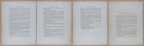 E345 - Illustrations of Syphilitic - i11961-11962-11963-11964