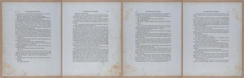 E345 - Illustrations of Syphilitic - i11969-11970-11971-11972