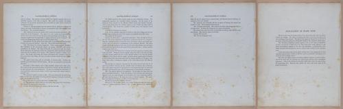 E345 - Illustrations of Syphilitic - i11981-11982-11983-11984