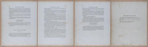 E345 - Illustrations of Syphilitic - i12053-12054-12055-12056