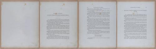 E345 - Illustrations of Syphilitic - i12066-12067-12068