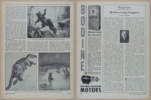 E350 - Newsweek 1953 August 24 - Nuclear Scenario Map - 12999-13000
