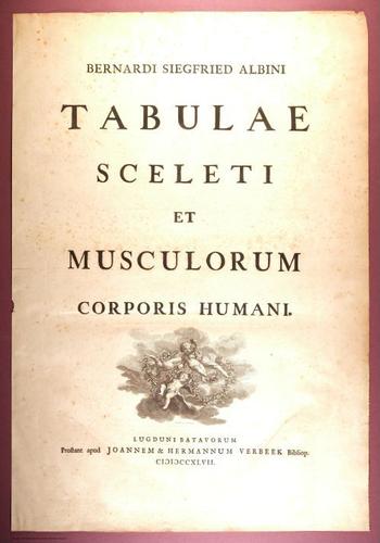E353 - Tabulae Sceleti - i0799