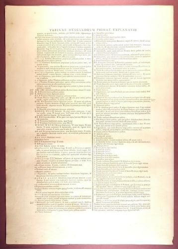 E353 - Tabulae Sceleti - i0804
