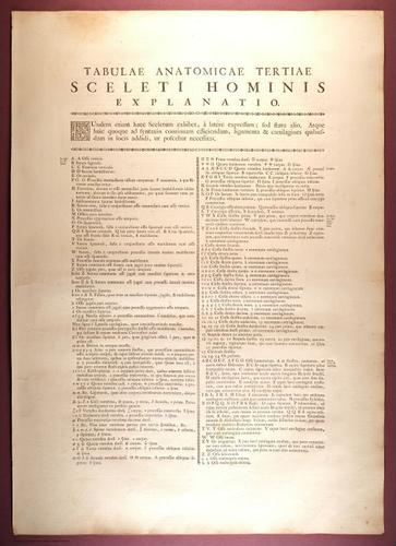 E353 - Tabulae Sceleti - i0812