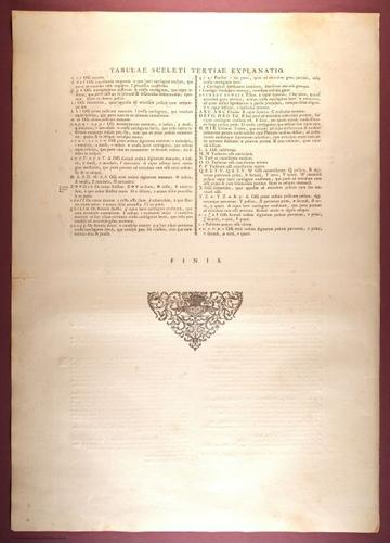 E353 - Tabulae Sceleti - i0813