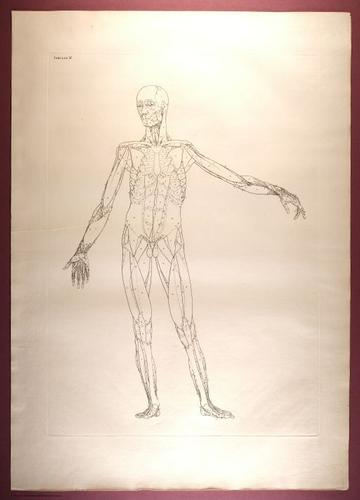 E353 - Tabulae Sceleti - i0815
