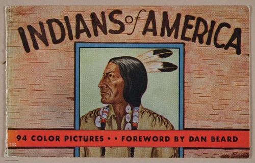 E349 - Indians of America - i12883