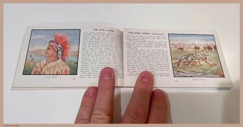 E349 - Indians of America - i0891(4)