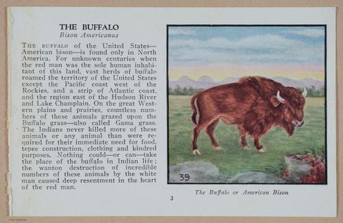 E349 - Indians of America - i12887