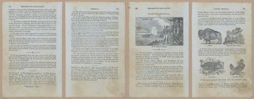 E348 - Mitchell's Geography 1845 - 12633-12634-12635-12636