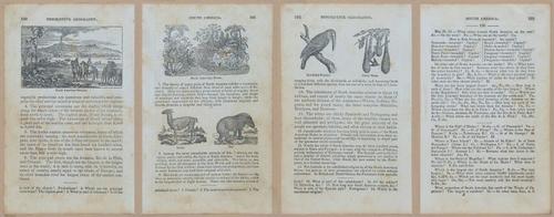 E348 - Mitchell's Geography 1845 - 12741-12742-12744-12745