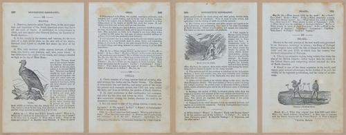 E348 - Mitchell's Geography 1845 - 12754-12755-12756-12757