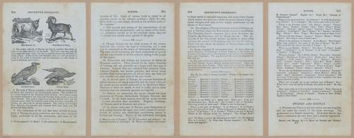 E348 - Mitchell's Geography 1845 - 12765-12766-12767-12768