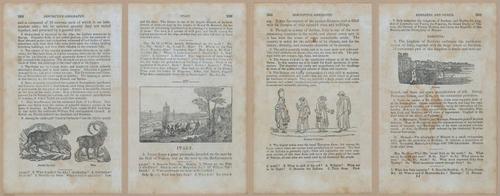 E348 - Mitchell's Geography 1845 - 12813-12814-12815-12816
