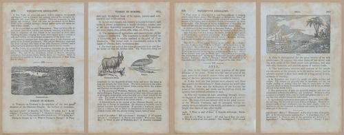E348 - Mitchell's Geography 1845 - 12825-12826-12827-12828